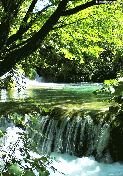 世界杯投注