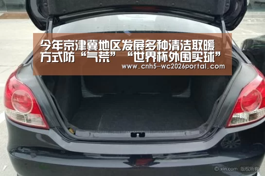今年京津冀地区发展多种清洁取暖方式防“气荒”“世界杯外围买球”(图1) 世界杯买球网站