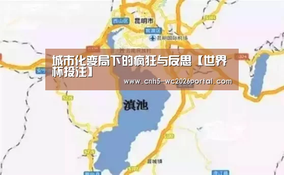 城市化变局下的疯狂与反思【世界杯投注】(图1) 世界杯外围买球
